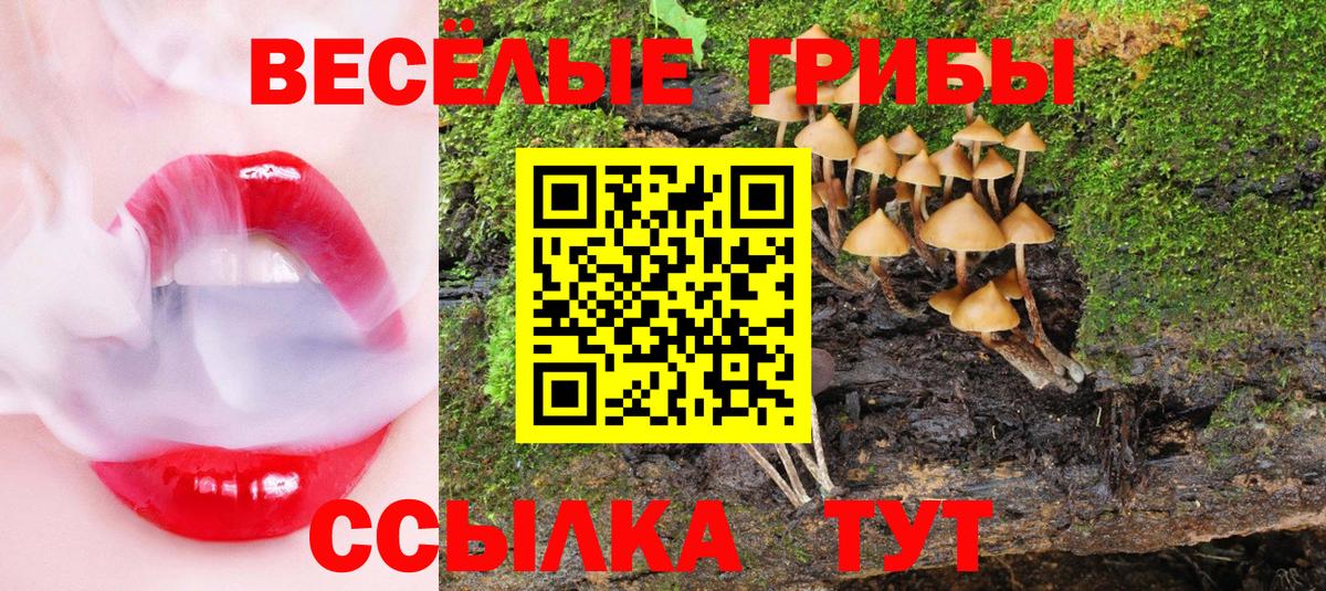Галлюциногенные грибы MAGIC MUSHROOMS  Вход с VPN  Рославль  Галлюциногенные грибы MAGIC MUSHROOMS 