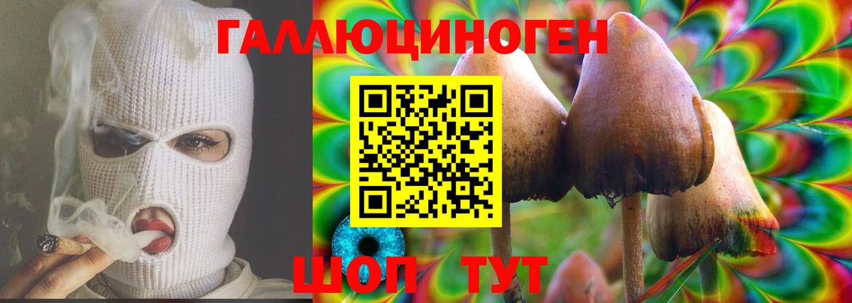 Галлюциногенные грибы мицелий  Рославль  купить  цена  Галлюциногенные грибы Psilocybe 